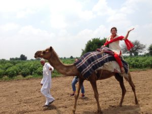 Kuznia on a camel