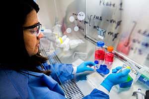 Pooja Mehta, Research Laboratory Tech Associate, constructs a hanging drop spheroid platform.