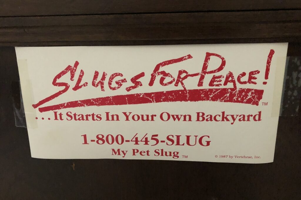 Slug humor at UMMNH, 2019