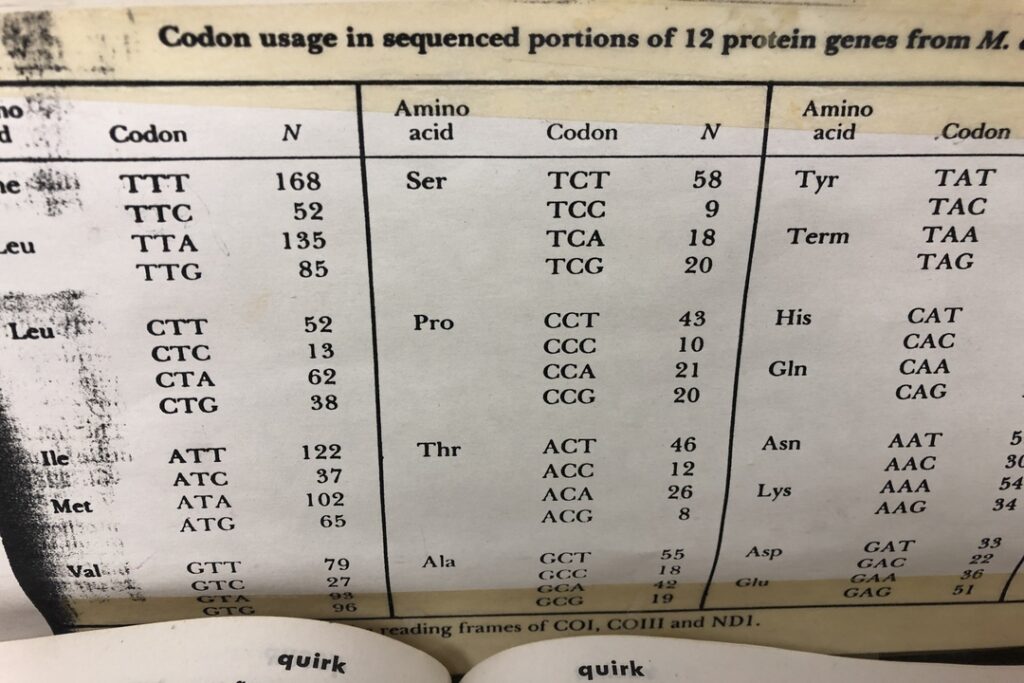 An unusual chart, UMMNH, 2019