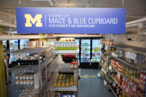 Maize & Blue Cupboard