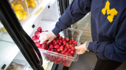 Radishes