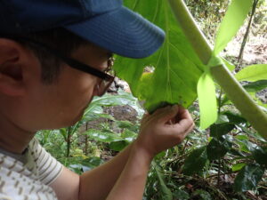 Inhee Lee attaches computing system to snail