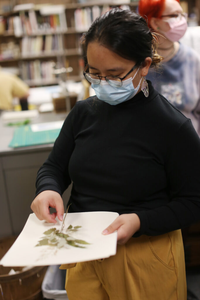 A student places a leaf on the page