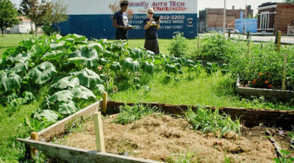 Urban garden in Detroit