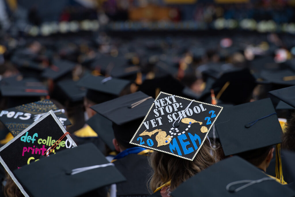 Cap reads: Next Stop -- Vet School