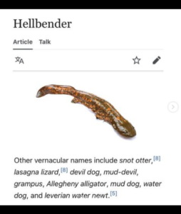 A depths of wikipedia post about the "hellbender"