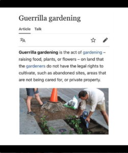 Guerilla Gardening wikipedia entry