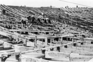 Seats under construction in Michigan Stadium, 1926. Black and white.