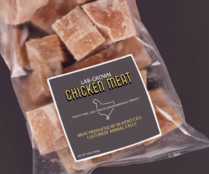 A bag of small tan chunks of food in a bag labeled lab-grown chicken meat.