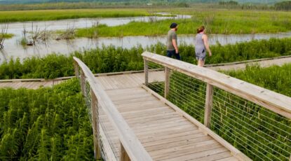 Two hikers walking along the universal trails at Arcadia Marsh.=