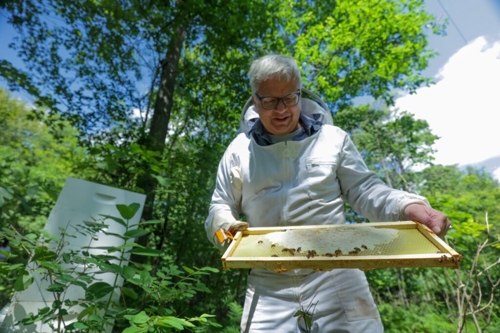 Brian Stork, a University of Michigan assistant professor of urology, is dressed in a beekeeper's outfit against a backdrop of green leaves and blue sky as he examines his backyard beehive.