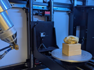 A wolverine skull sits inside a microCT scanner at the the University of Michigan MicroCT Scanning Laboratory. The skull is the 10,000th scan conducted in the laboratory.