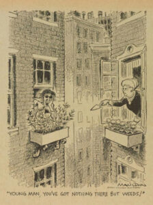 Cartoon of two gardeners, an elderly lady with flowers, and a hippie with marijuana. The lady says: Young man, you've got nothing there but weeds."