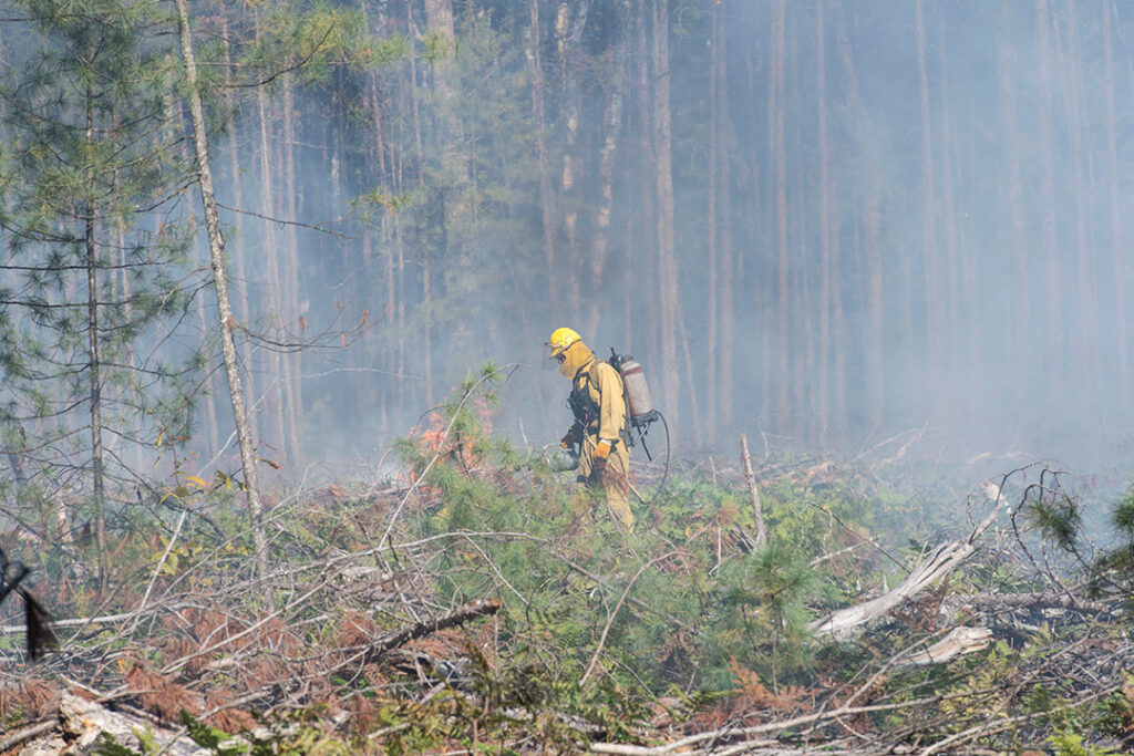 Researchers and scientists from the University Michigan stage a controlled burn of three plots of wooded land at the UM Biological Station near Pellston, Michigan. Smoky forest.