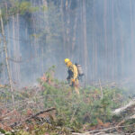 Researchers and scientists from the University Michigan stage a controlled burn of three plots of wooded land at the UM Biological Station near Pellston, Michigan. Smoky forest.