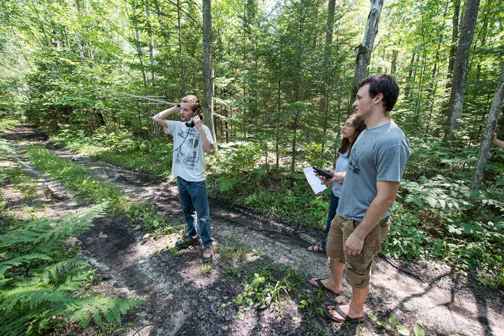 A trio of young scientists in the forest at the U-M BioStation in Northern Michigan.