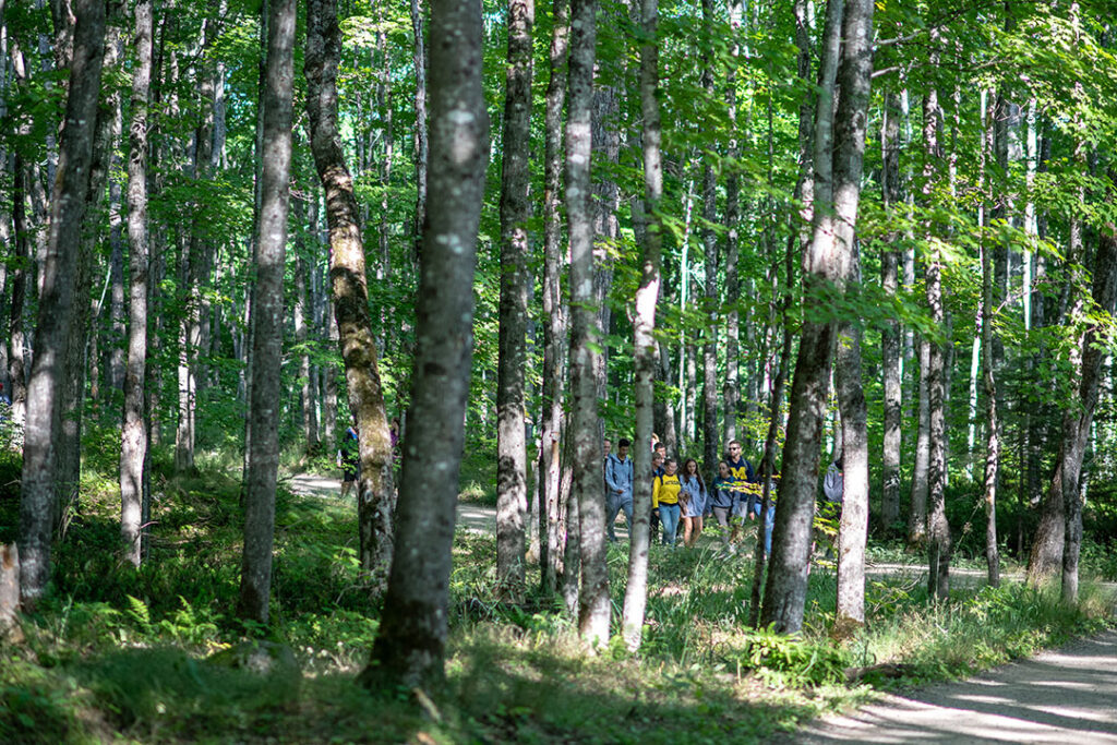 A bunch of people wearing Michigan-branded t-shirts and other gear go walking in the woods at the U-M BioStation in Pellston, Michigan.