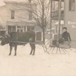 Two oxen were considered “rapid transit” when this image was taken in Bloomingdale, Michigan. Image credit: David V. Tinder Collection of Michigan Photography, University of Michigan William L. Clements Library.