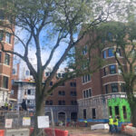 Central Campus Housing Complex under construction, Fall 2025, as viewed from entrance to Revelli Hall.