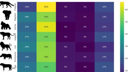 Colorful graphic depicts most popular animals featured in youtube videos with statistics regarding views and comments.