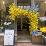 The University Flower Shop in Ann Arbor's Nickels Arcade was all maize and blue during Graduation week at University of Michigan in May 2026.
