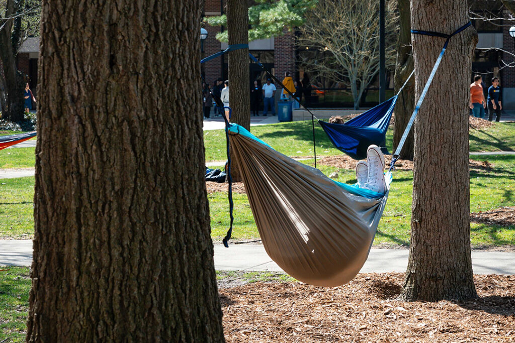 Students lounge in hammocks on the University of Michigan Diag.