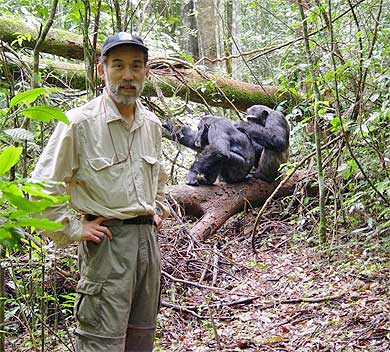 Anthropologist John Mitani has been studying the behavior of wild chimpanzees in Uganda’s Kibale National Park for nearly 20 years. (Image courtesy of John Mitani.)