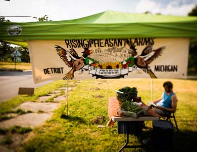 The family sells produce at their own roadside stand, as well as at Detroit's Eastern Market. (Image by Dave Lewinski.)