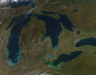 The green scum shown in this image is the worst algae bloom Lake Erie has experienced in decades. (Landsat image created for NASA’s Earth Observatory by Jesse Allen and Robert Simmon, using data provided courtesy of the United States Geological Survey.)