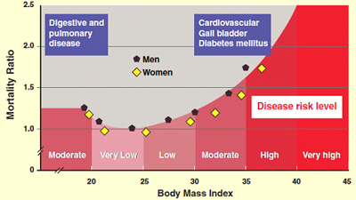 Body Composition Michigan Today