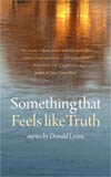 Something that Feels like the Truth book cover