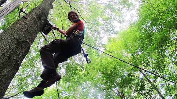 Christoph Nolte in a tree