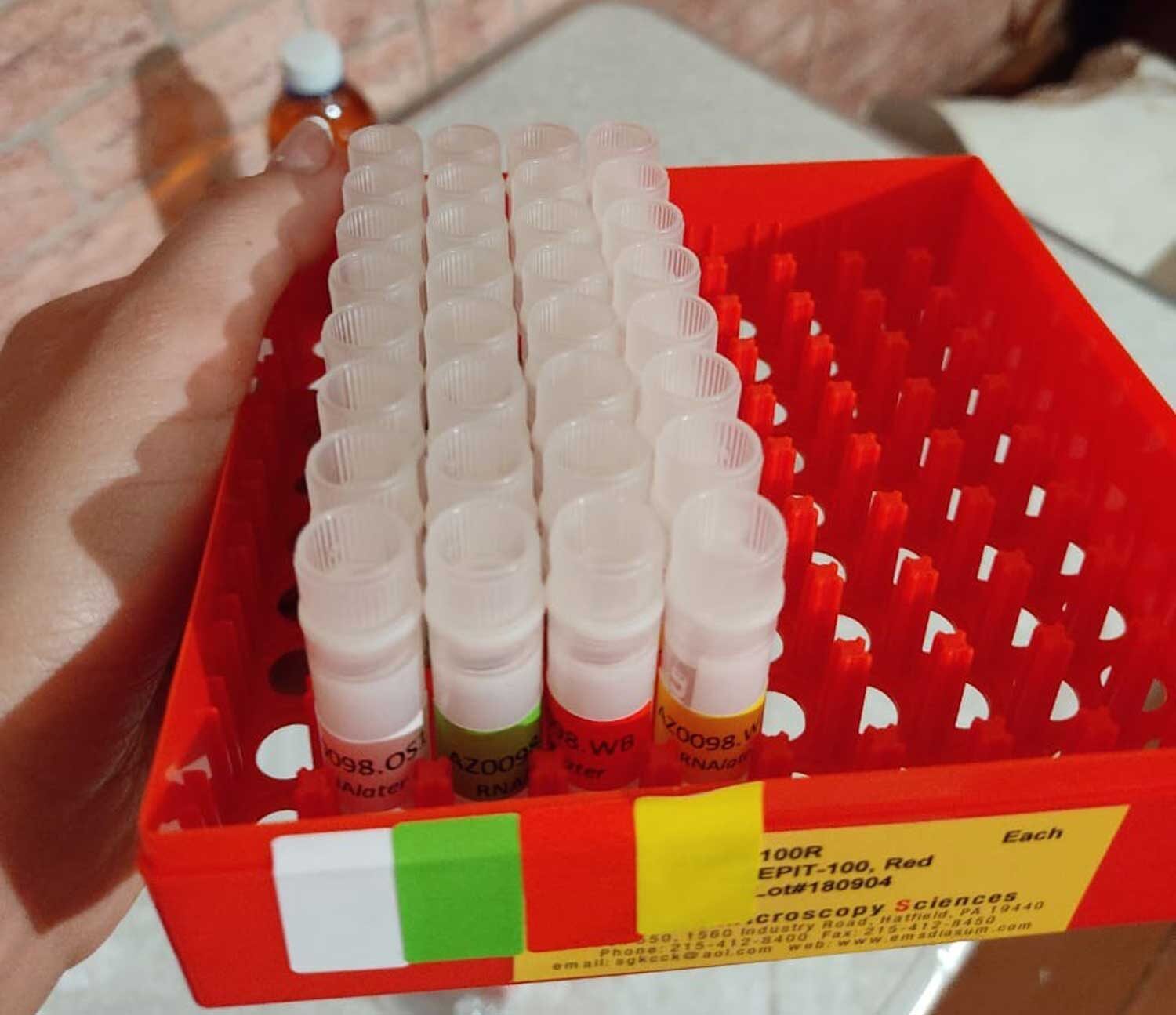 Tray of samples in a lab