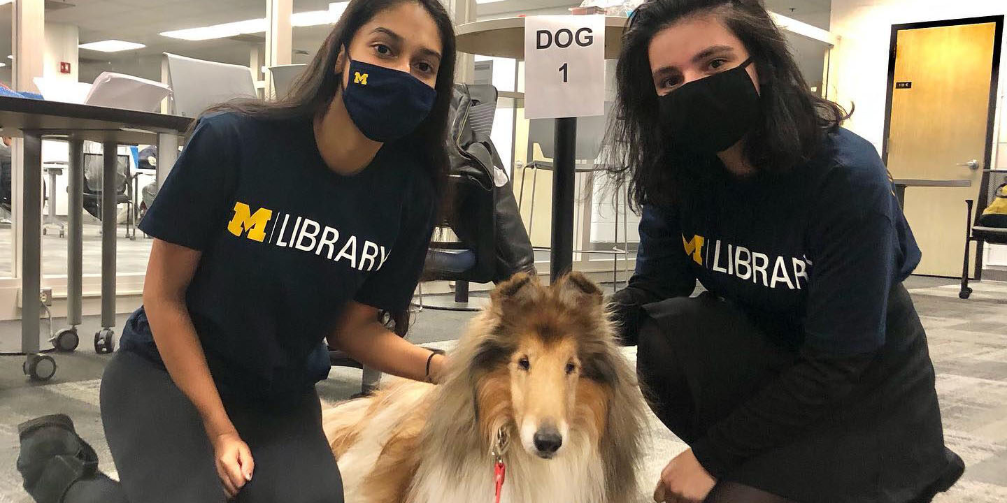 Collie visits U-M students in the library