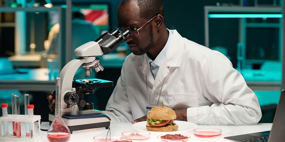 An African American researcher peers into a microscope in a laboratory that grows meat. A hamburger is on his table. There are more than a hundred worldwide startups with some $2B invested in this technology.