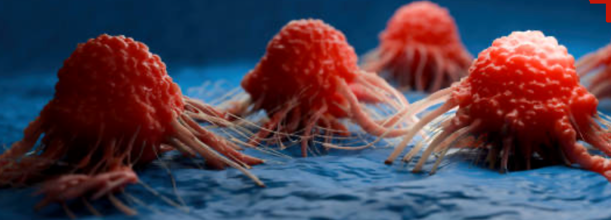 A 3D rendering of a cluster of red cancer cells on a blue surface. Look like raspberries with tentacles.